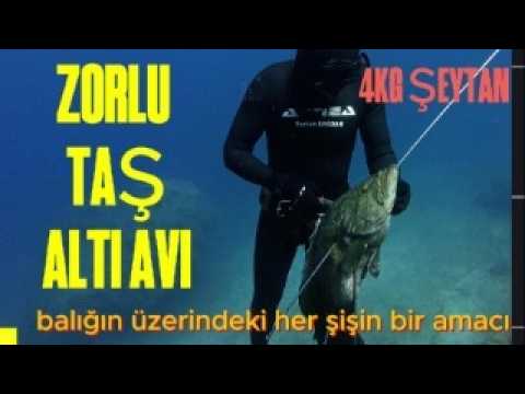 Zorlu Taş Altı Avı 4kg Şeytan